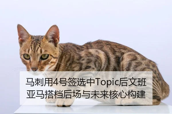 ma-ci-yong-hao-qian-xuan-zhong-hou-wen-ban-ya-ma-da-dang-hou-chang-yu-wei-lai-he-xin-gou-jian-2-637.jpg